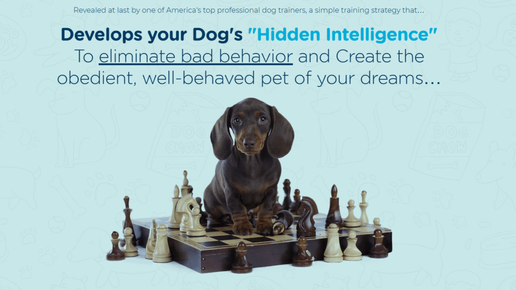 Brain Training for Dogs